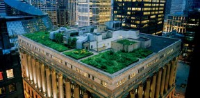 greenroof